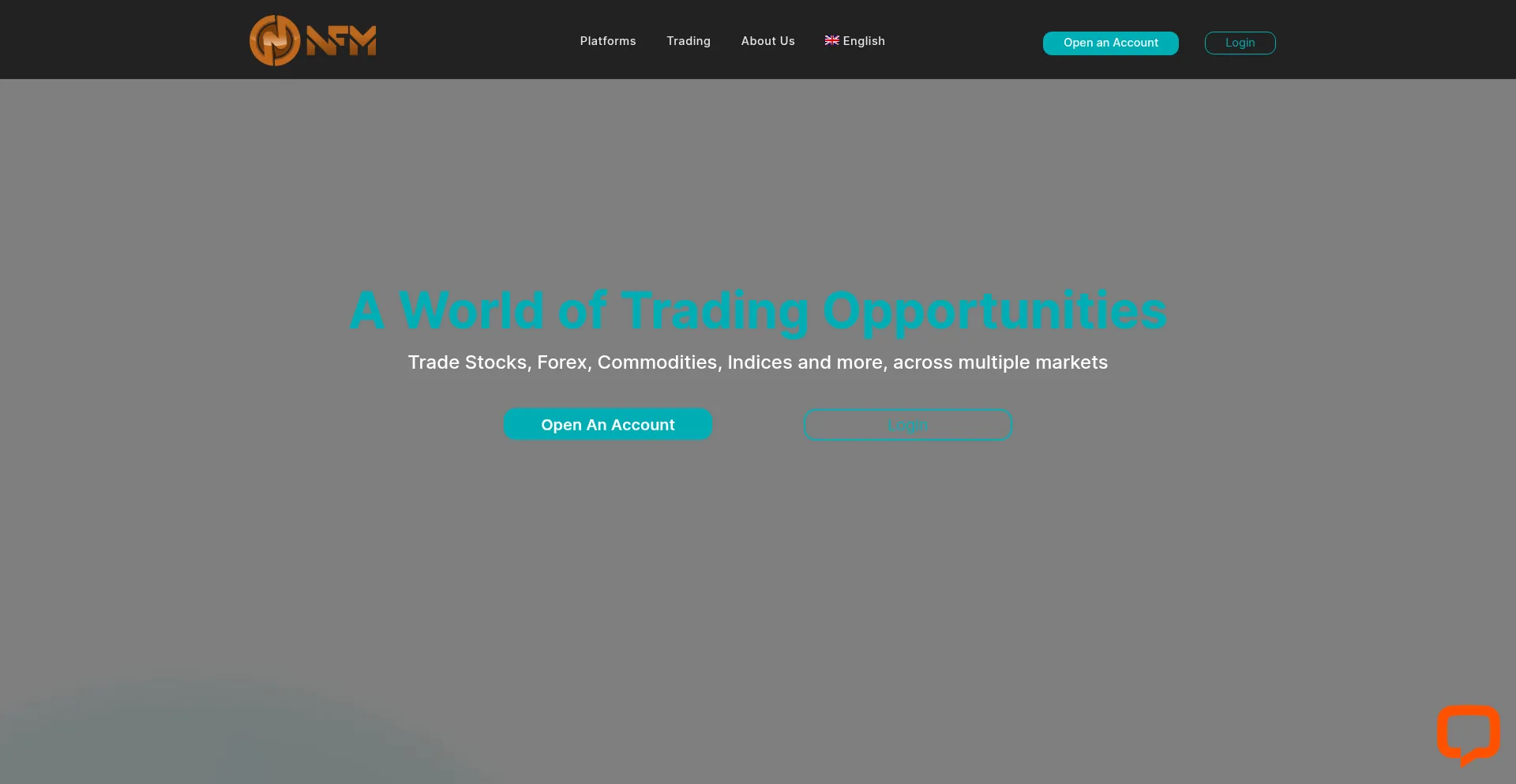 Nfmglobalexchange.net Screenshot