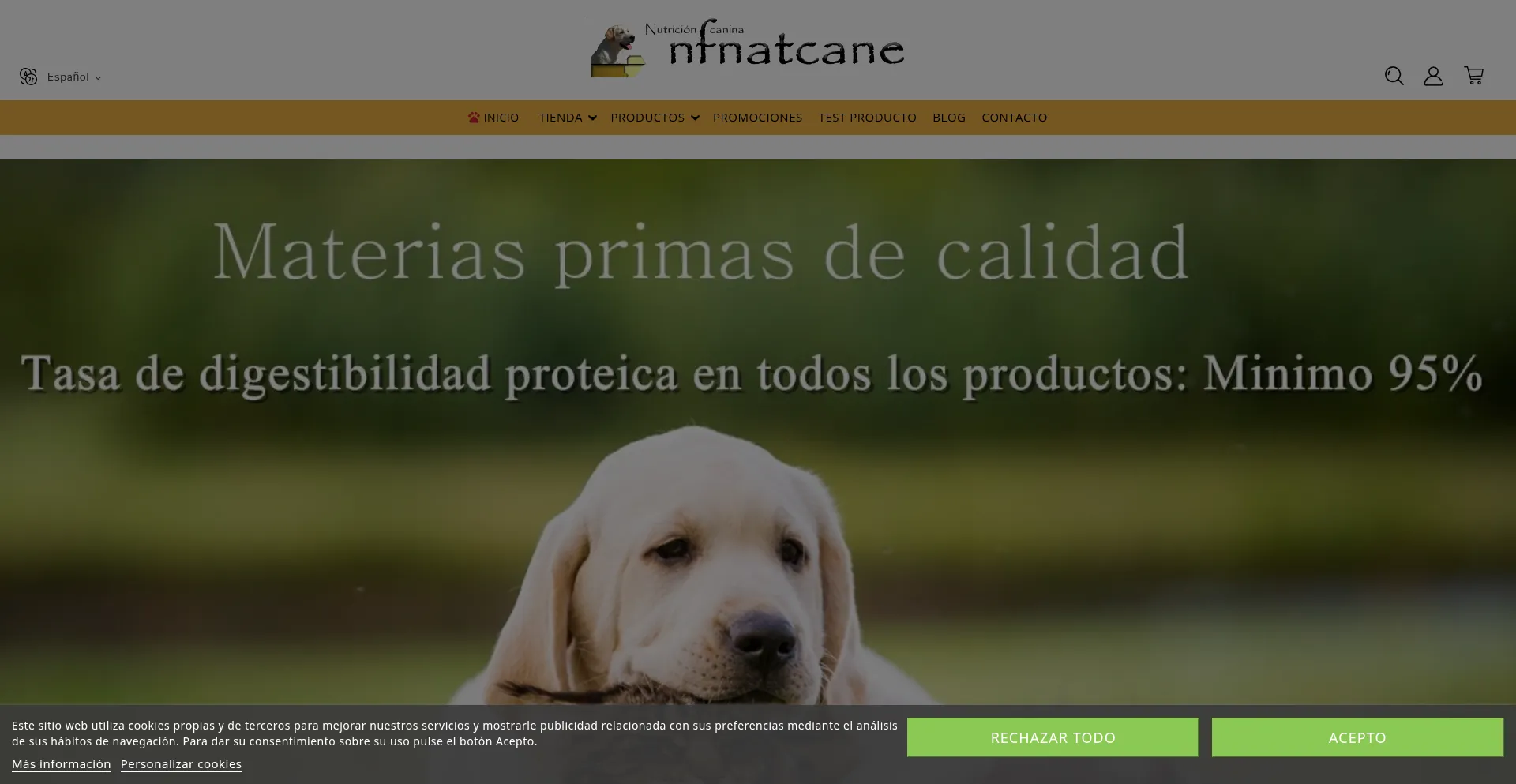Nfnatcane.es Screenshot