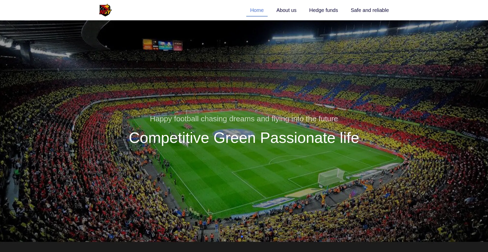 Website screenshot of Ngyfootball.com