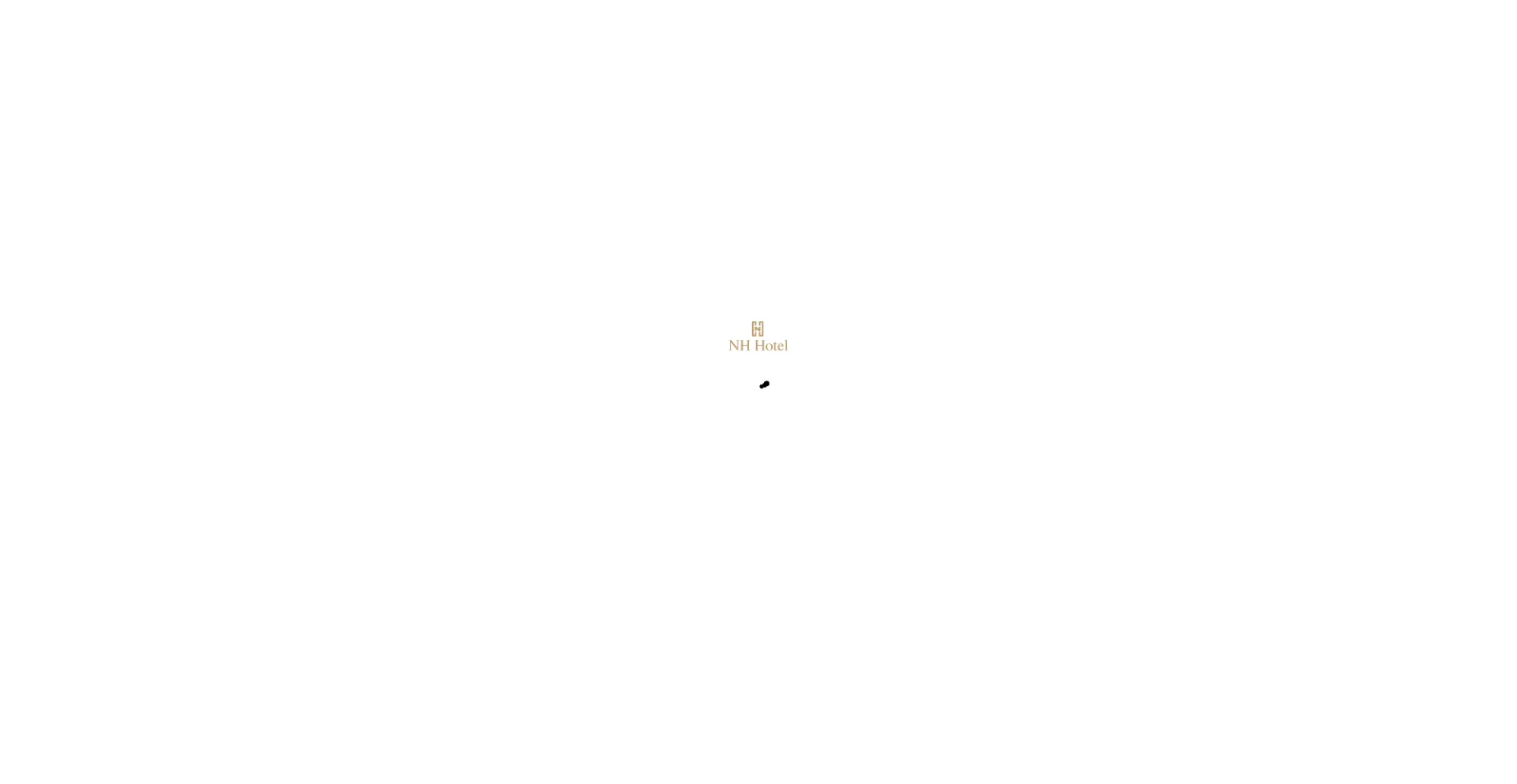 Website screenshot of Nhhotel.cc