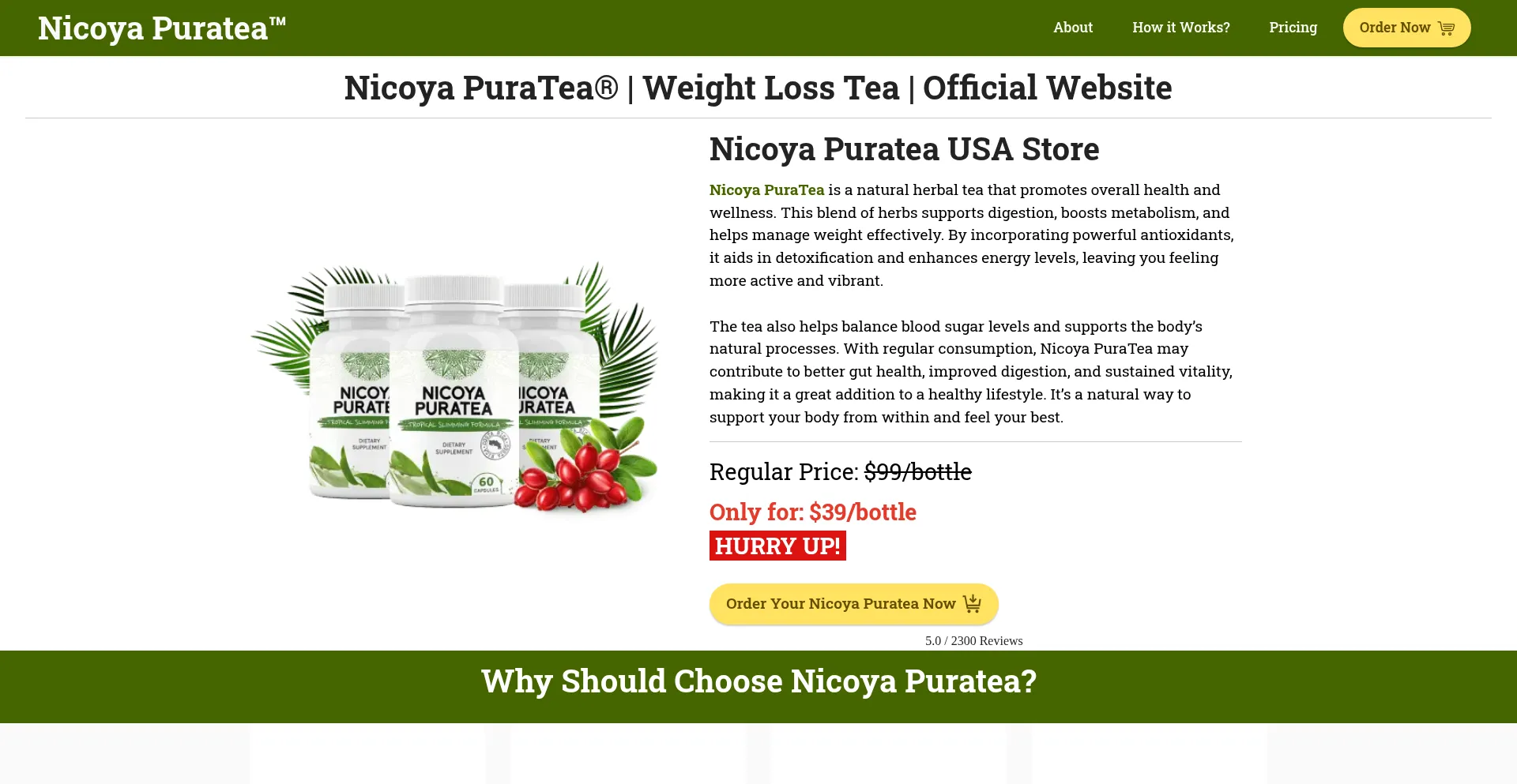 Website screenshot of Nicoya-puratea-us.us