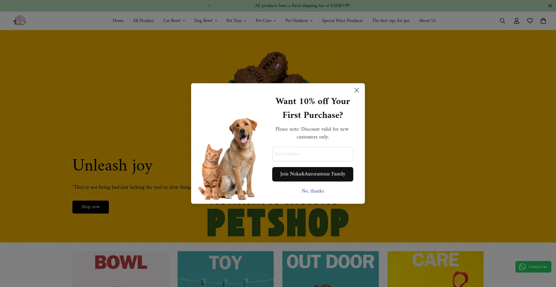Website screenshot of Nokaaurorastone.com