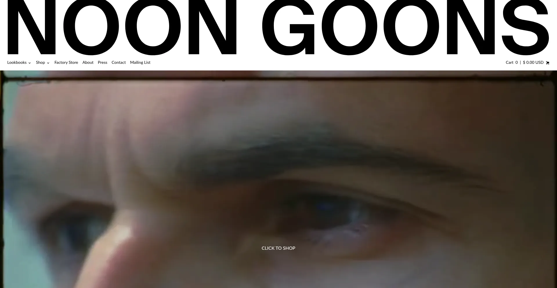 Website screenshot of Noongoons.com