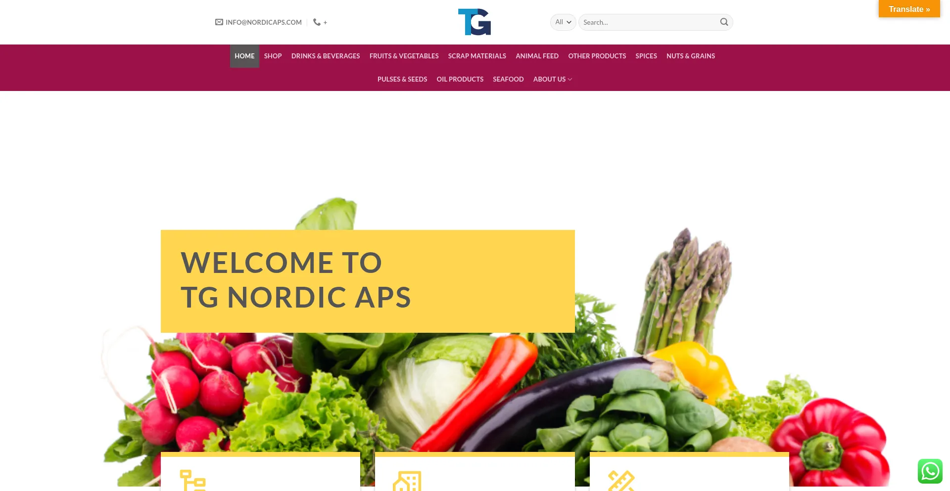 Website screenshot of Nordicaps.com