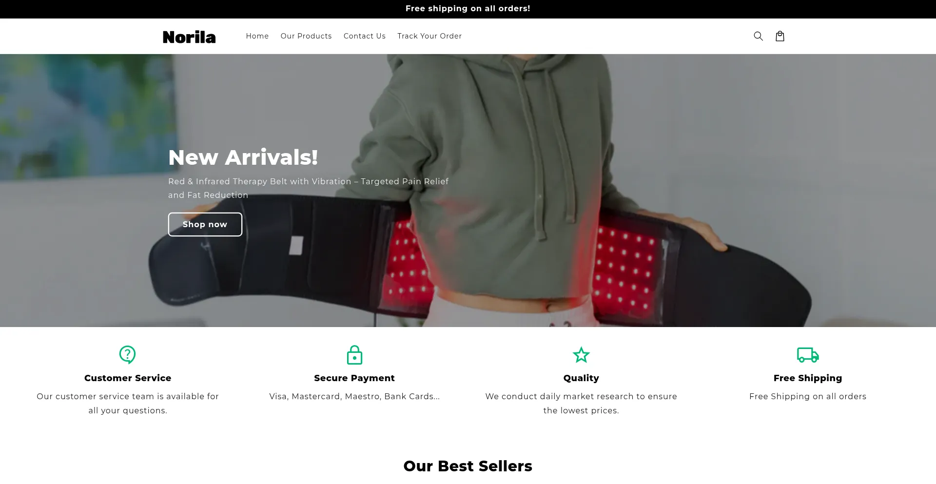 Website screenshot of Norila.shop