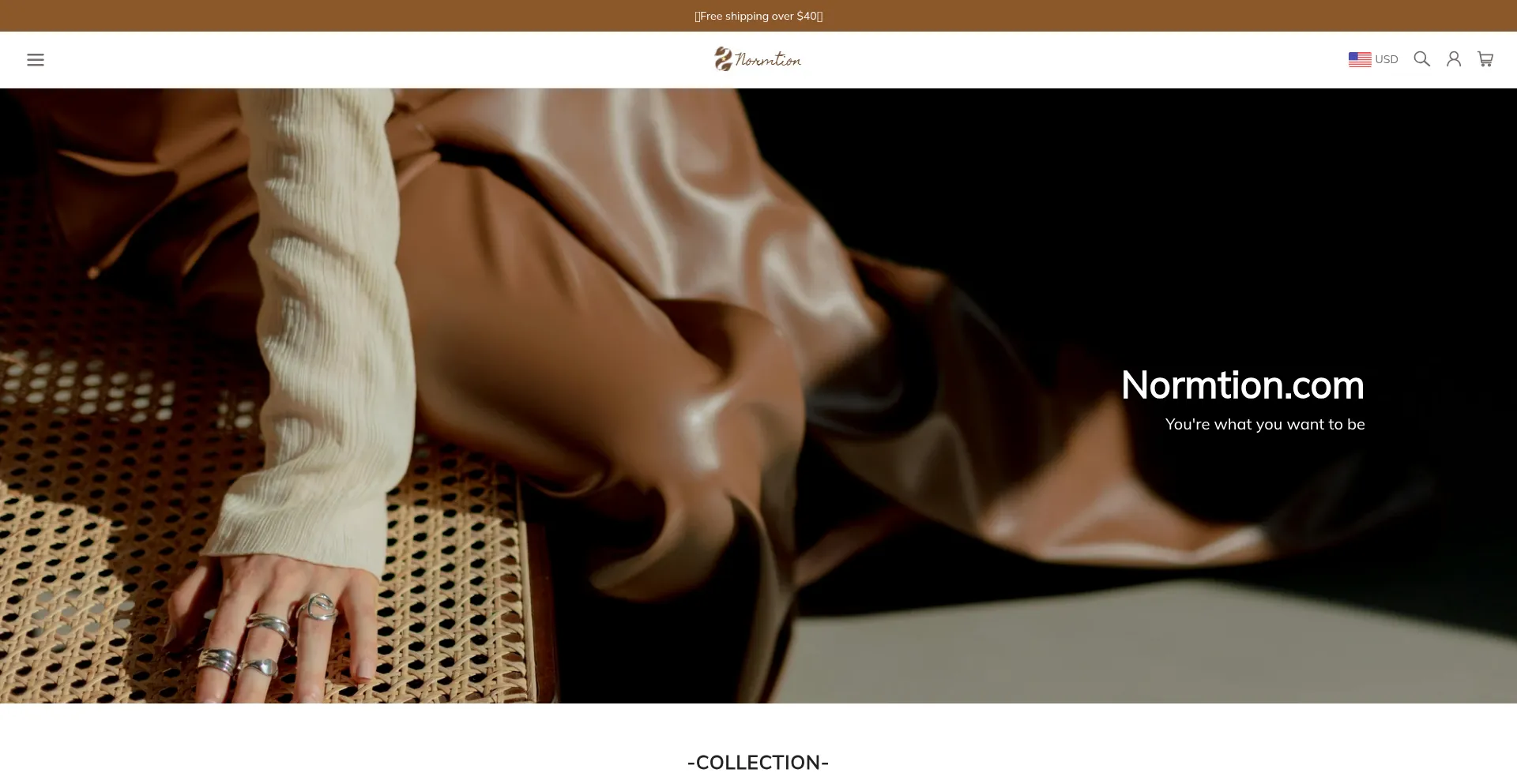 Website screenshot of Normtion.com