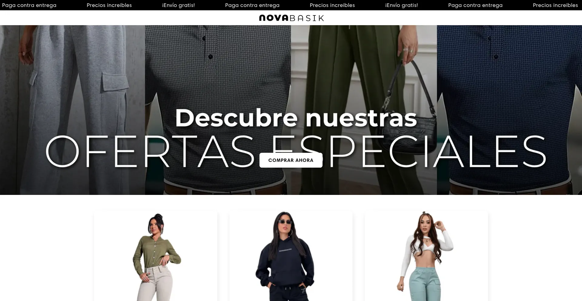 Website screenshot of Novabasik.com