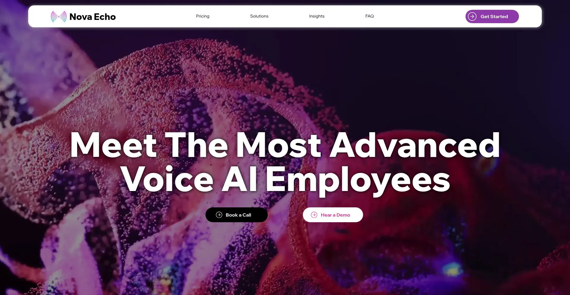 Novaecho.ai Screenshot