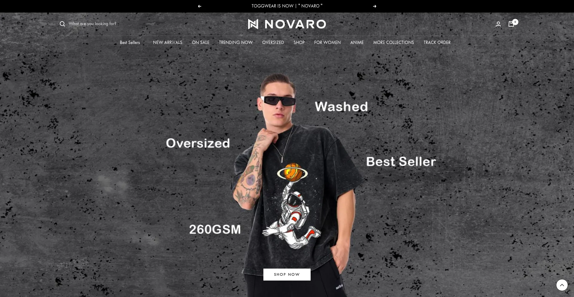 Website screenshot of Novaro.in