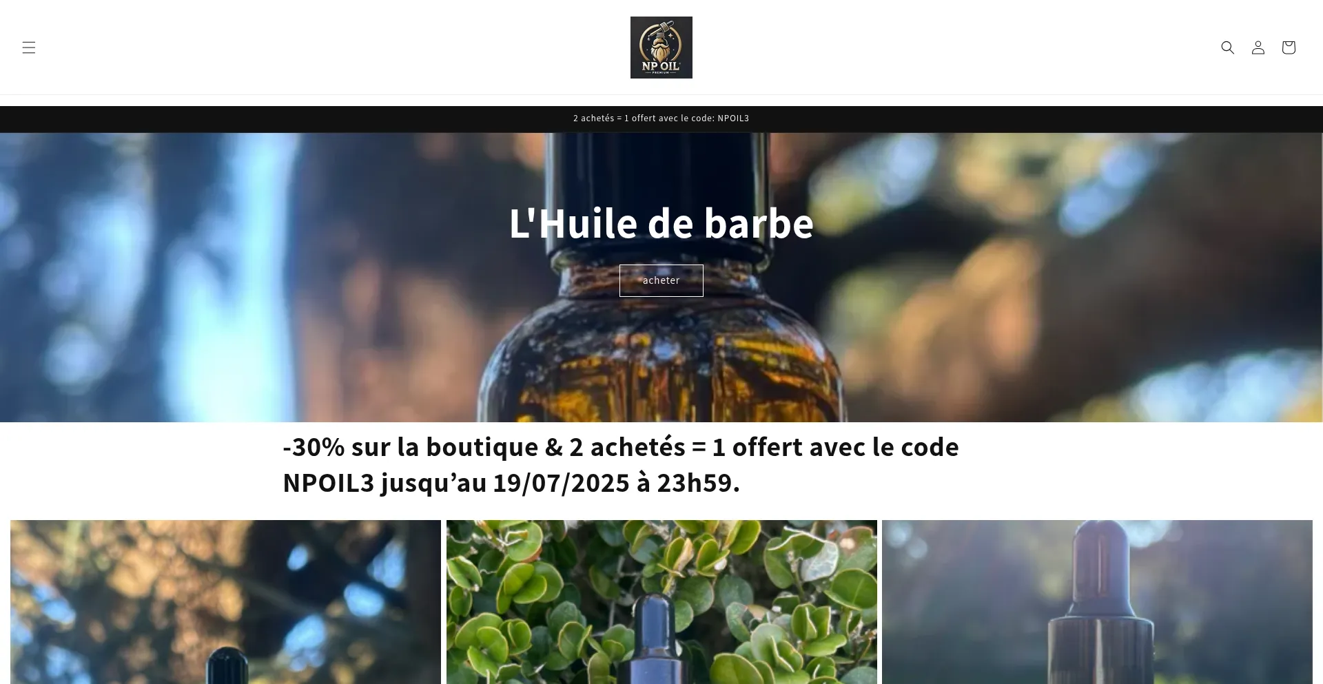 Website screenshot of Npoilparis.com