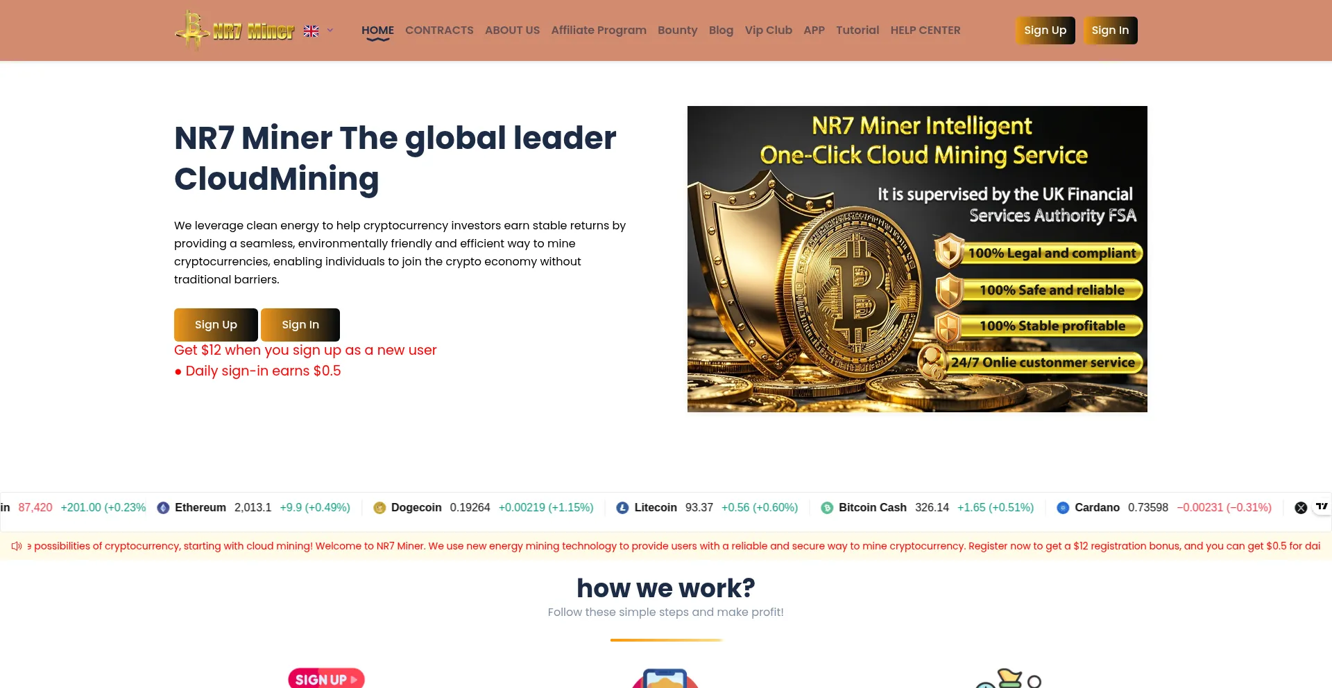 Website screenshot of Nr7miner.net