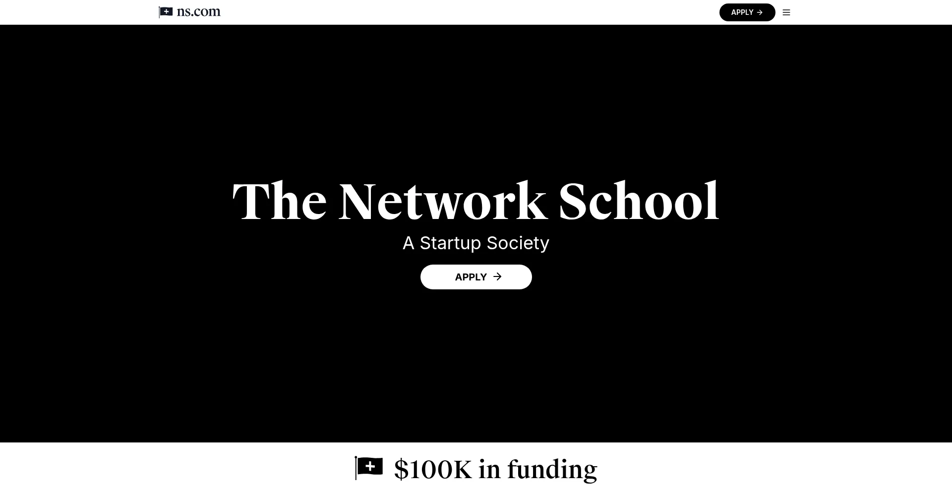 Website screenshot of Ns.com