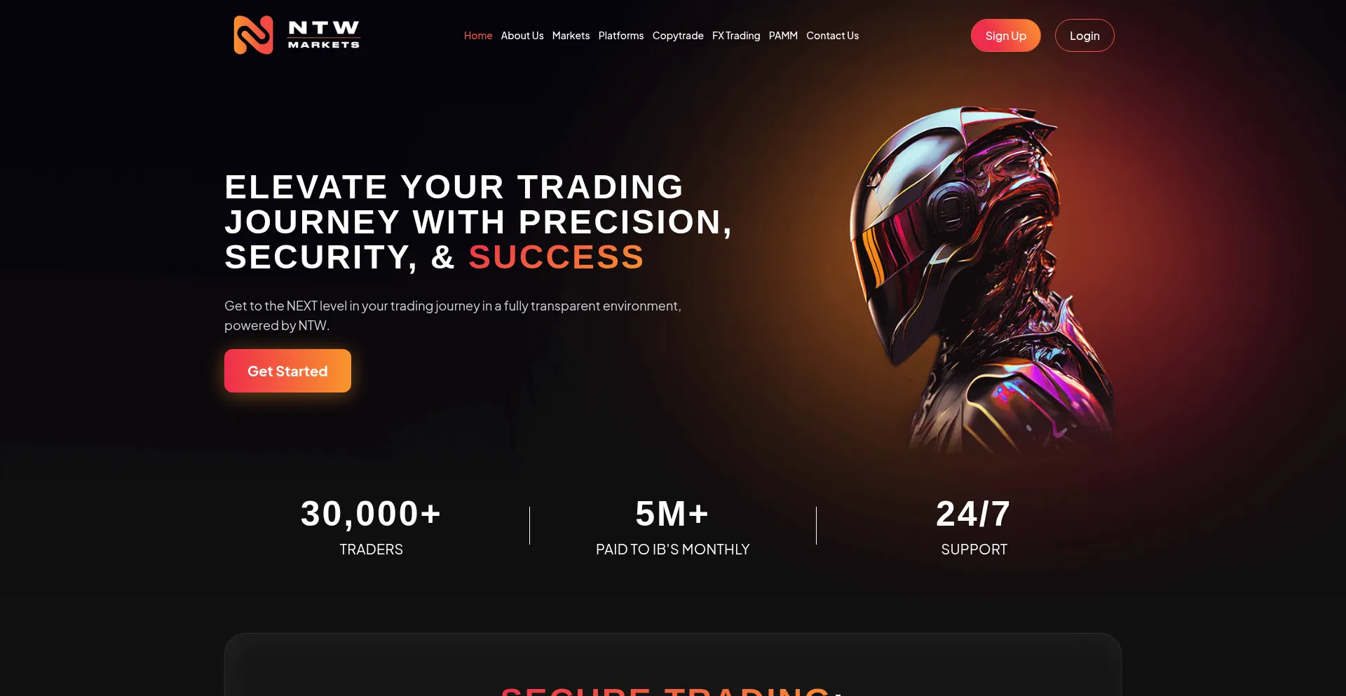 ¿És Seguro y Confiable Ntwmarkets.com?