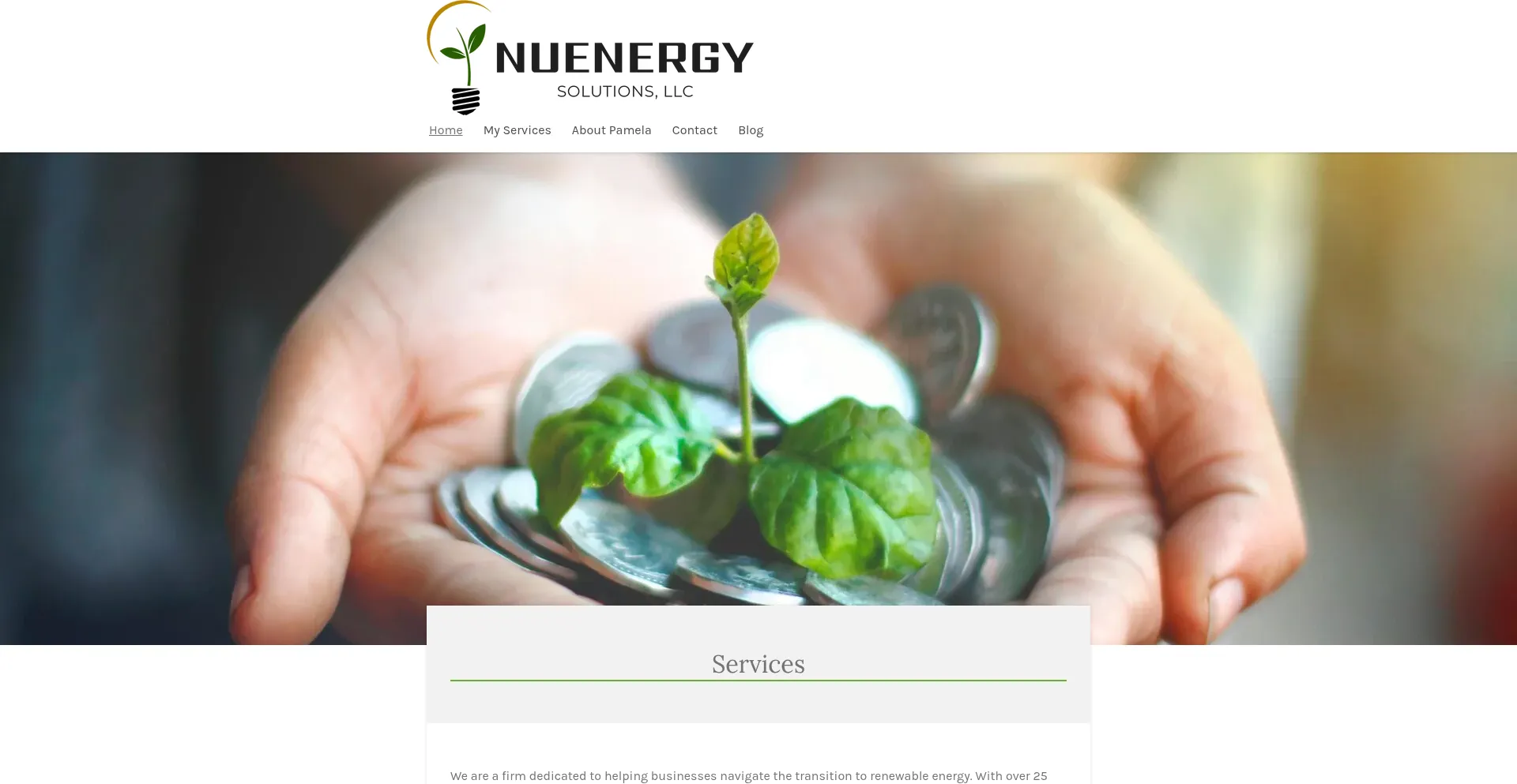 Nuenergysol.com