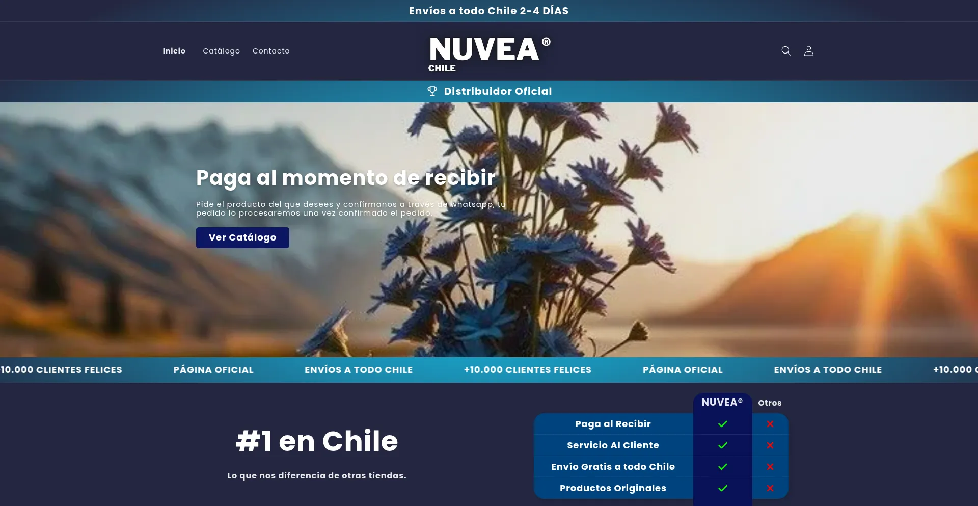 Nuveachile.com