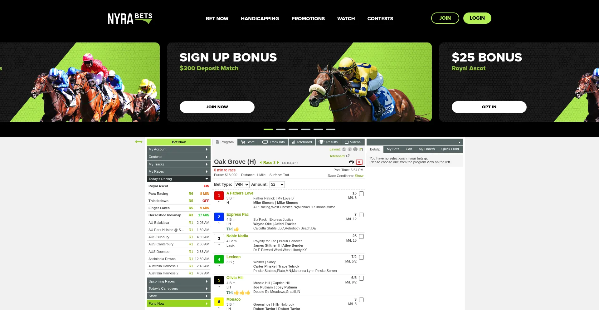 Website screenshot of Nyrabets.com
