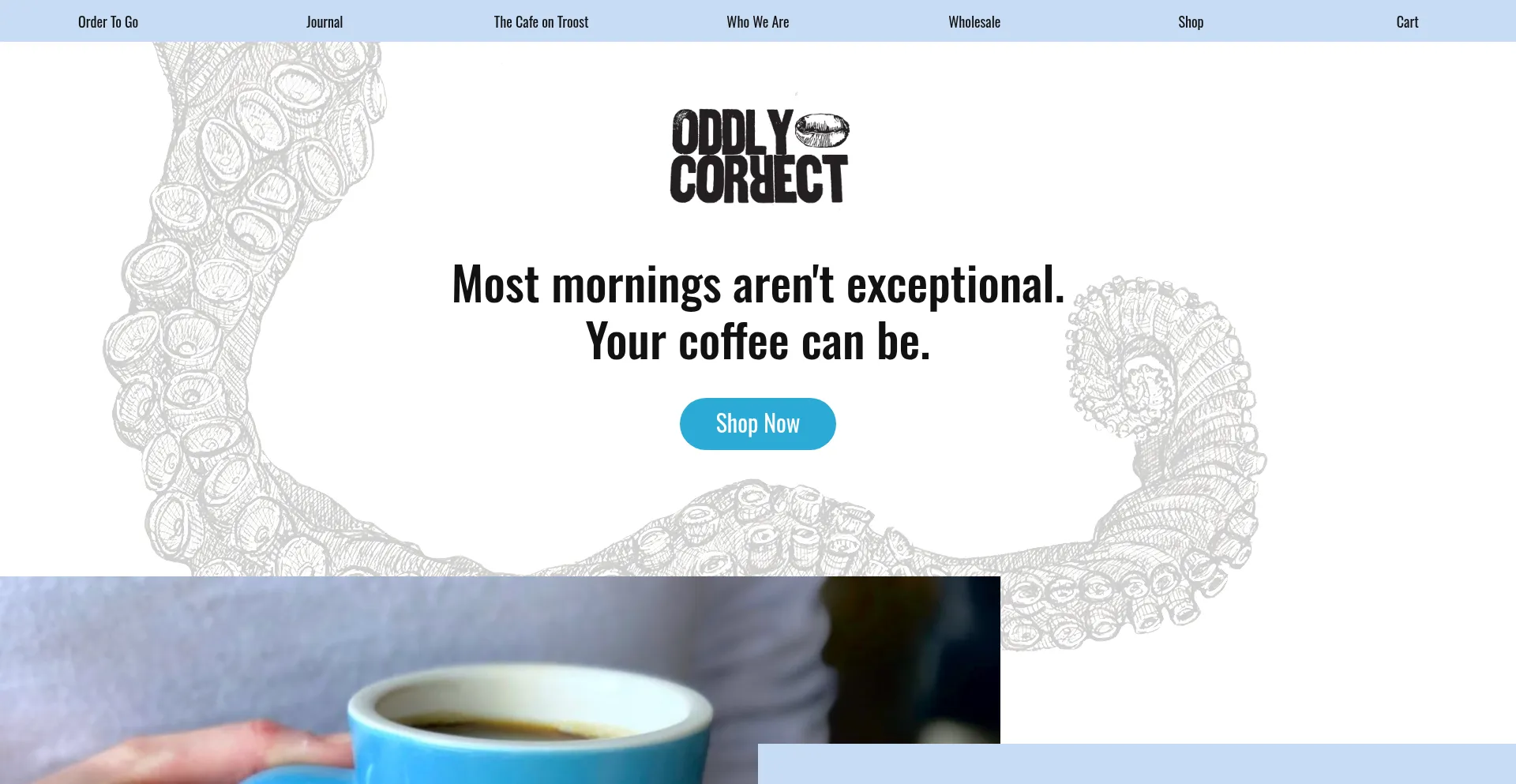 Website screenshot of Oddlycorrect.com