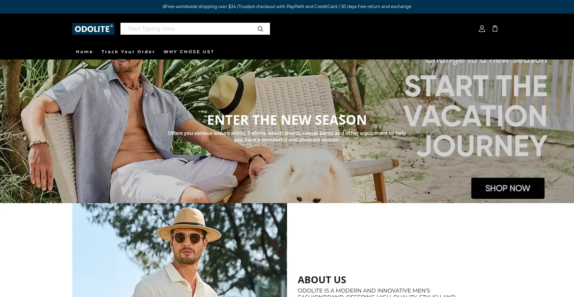 Website screenshot of Odolite.com