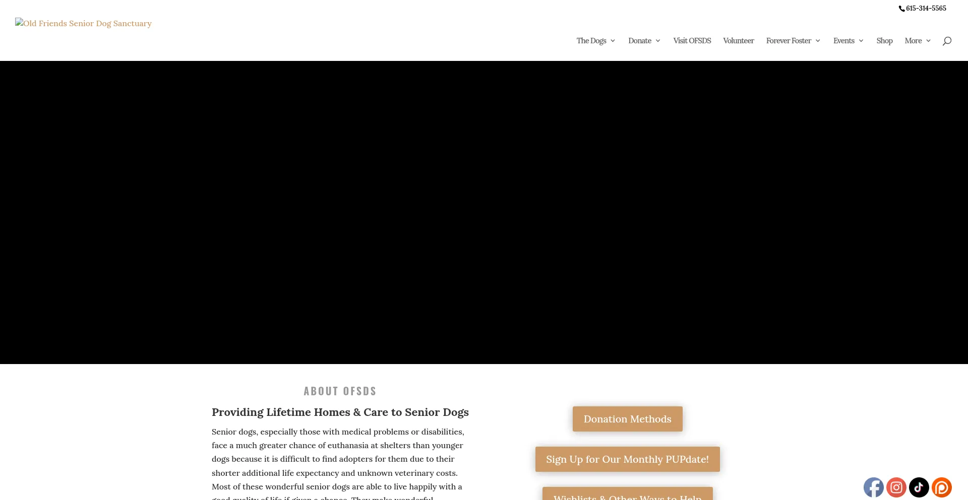 Website screenshot of Ofsds.org