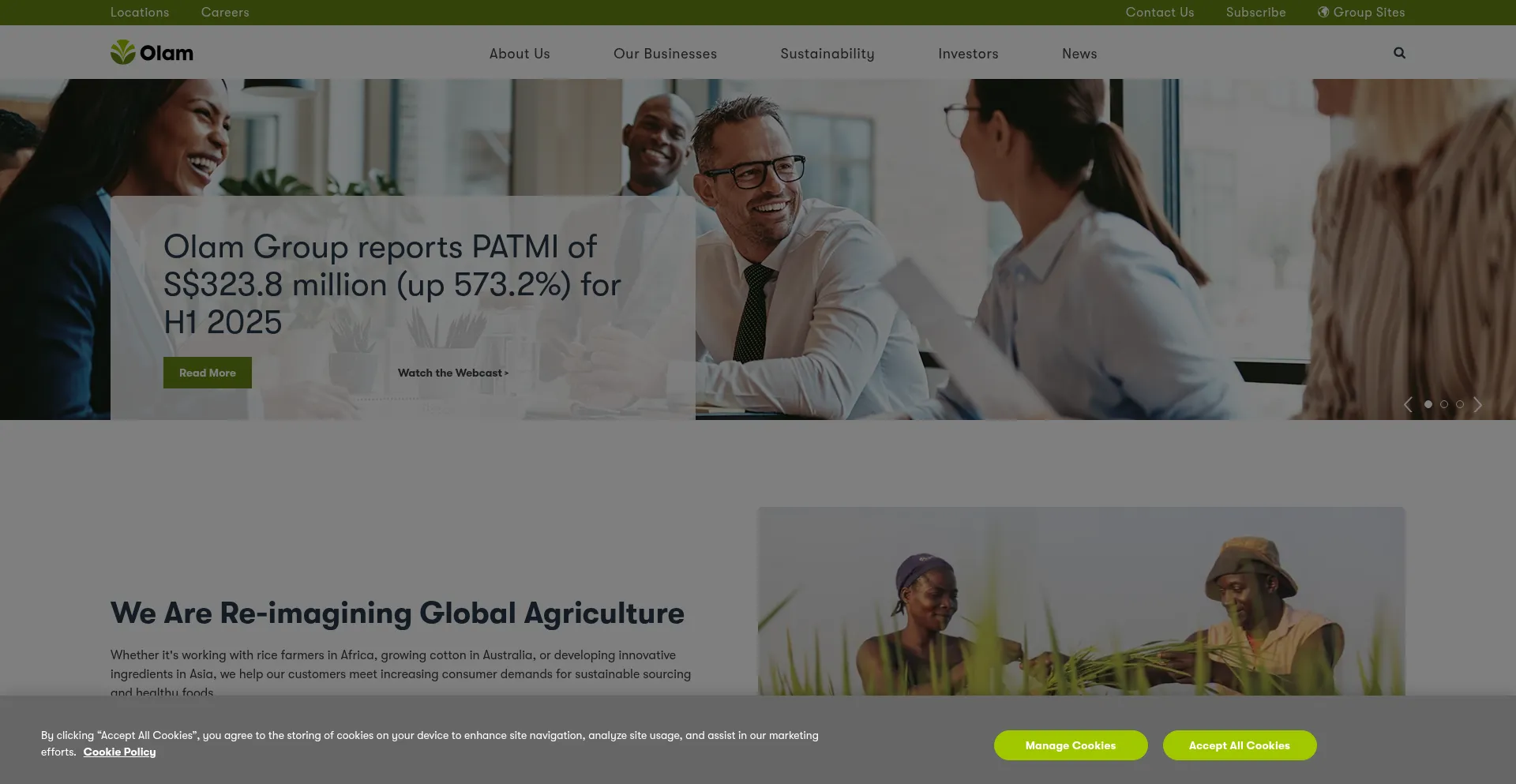 ¿És Seguro y Confiable Olamgroup.com?