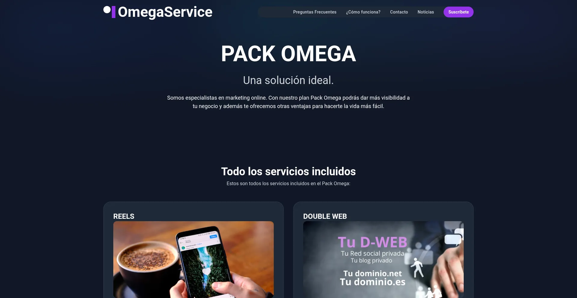 Website screenshot of Omegaservice.es