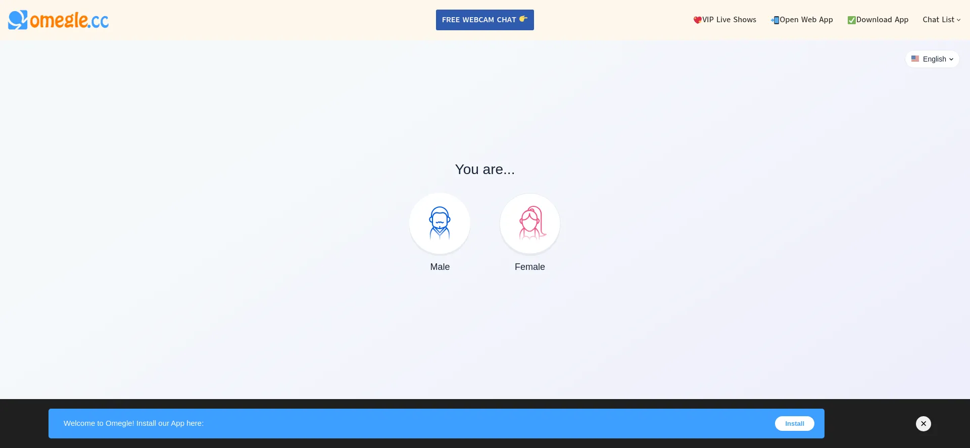 Website screenshot of Omegle.cc