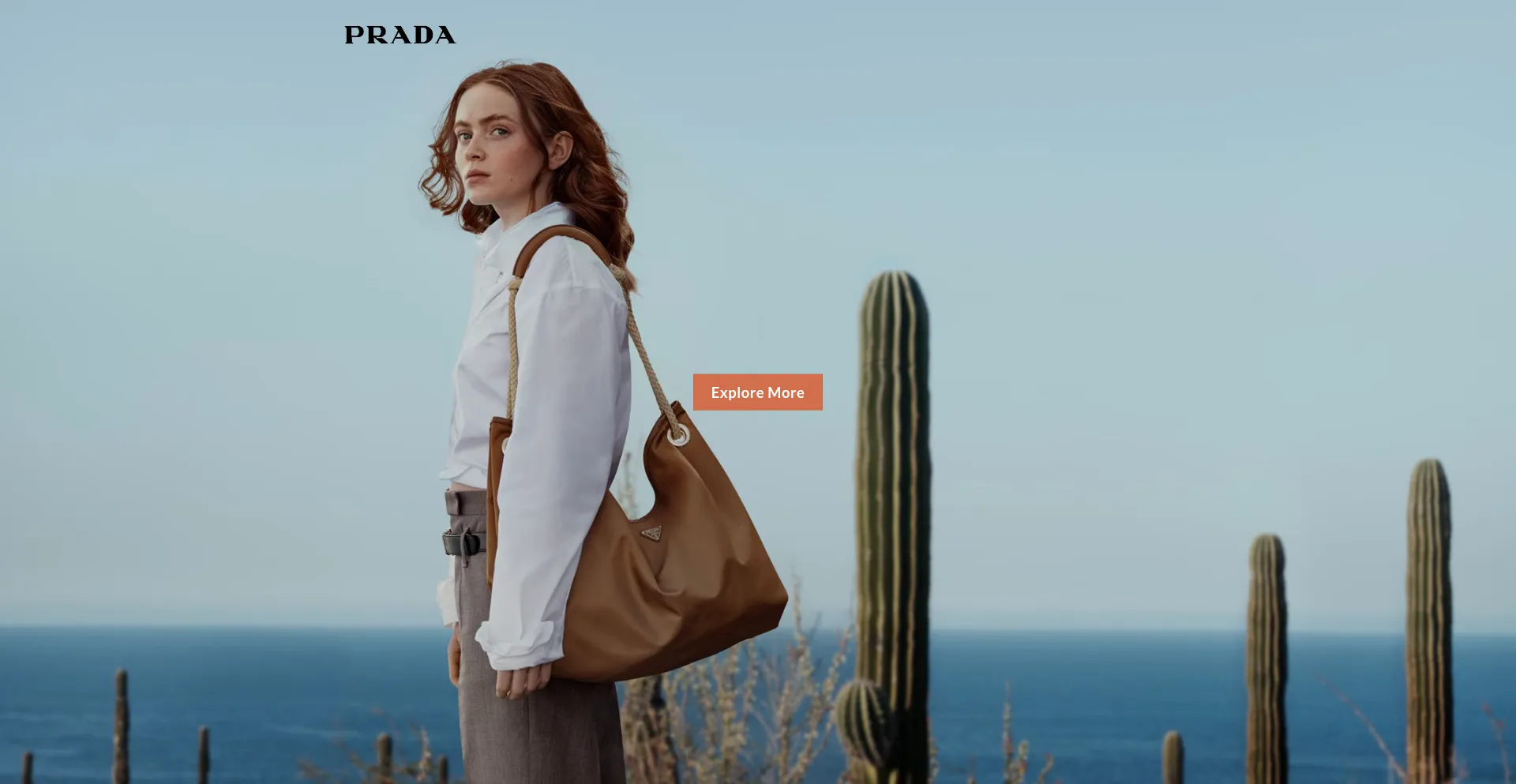 Website screenshot of Omitren.com
