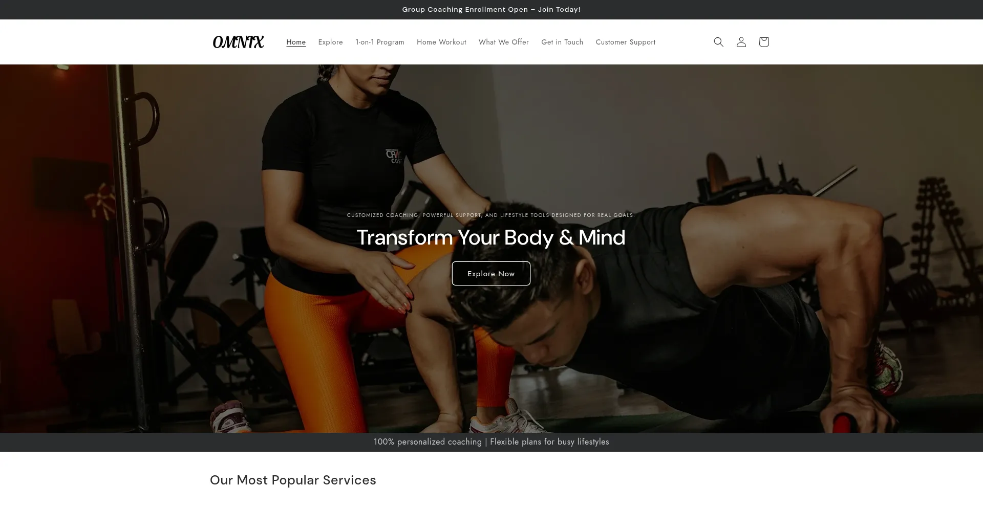 Website screenshot of Omnixshop.com