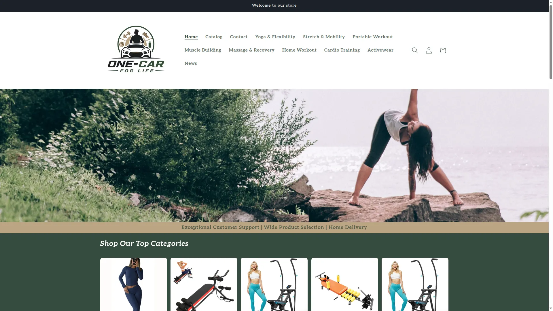 Onecarforlife.com