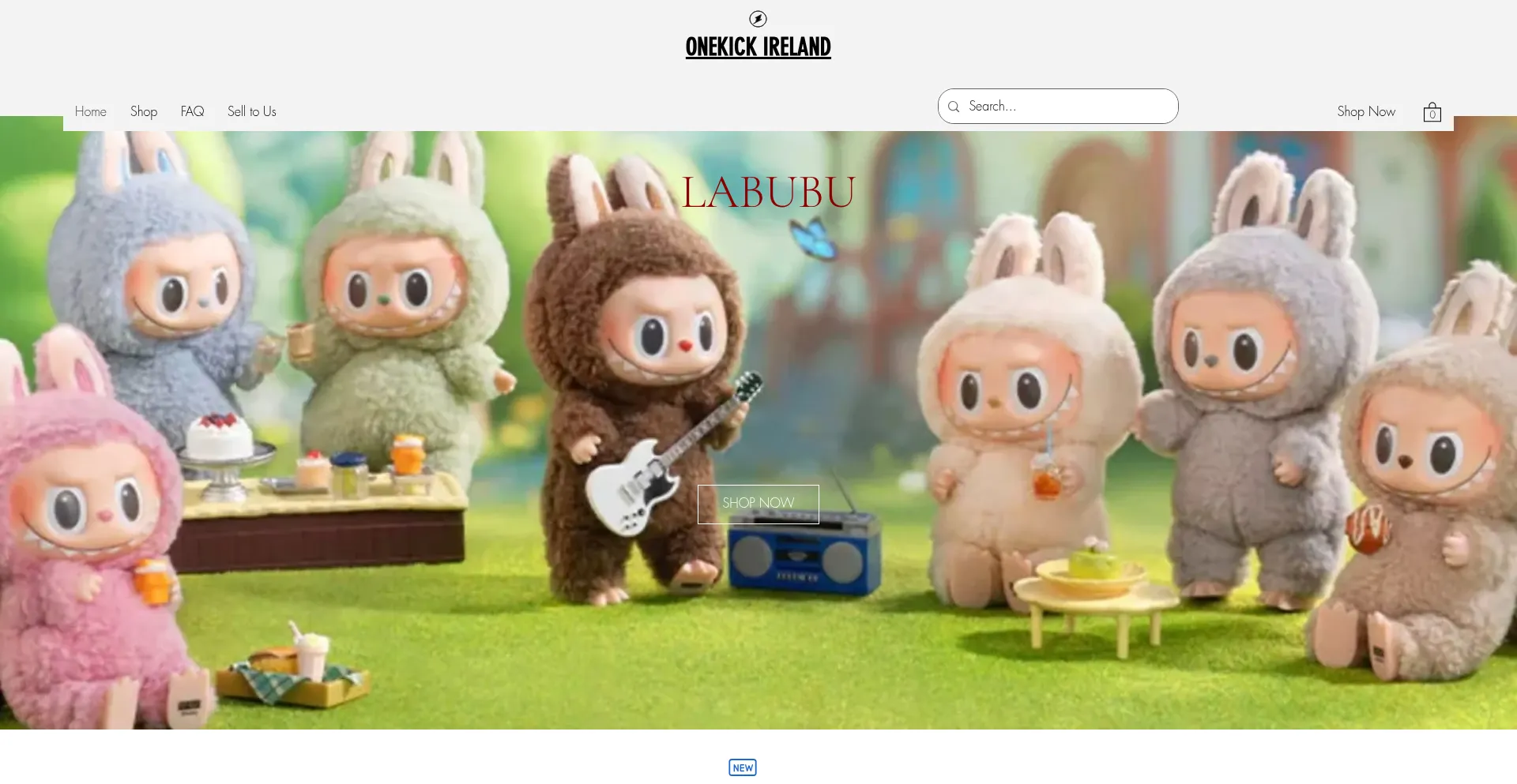 Website screenshot of Onekickireland.net