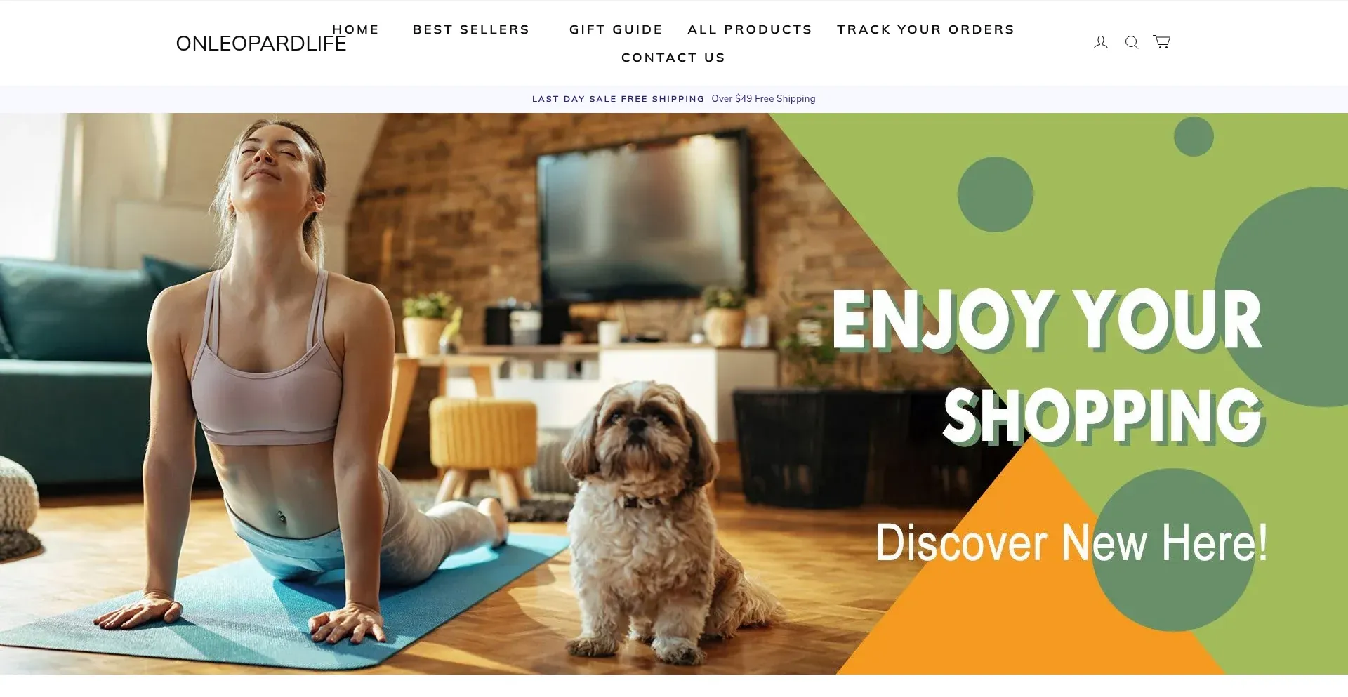 Website screenshot of Onleopardlife.com