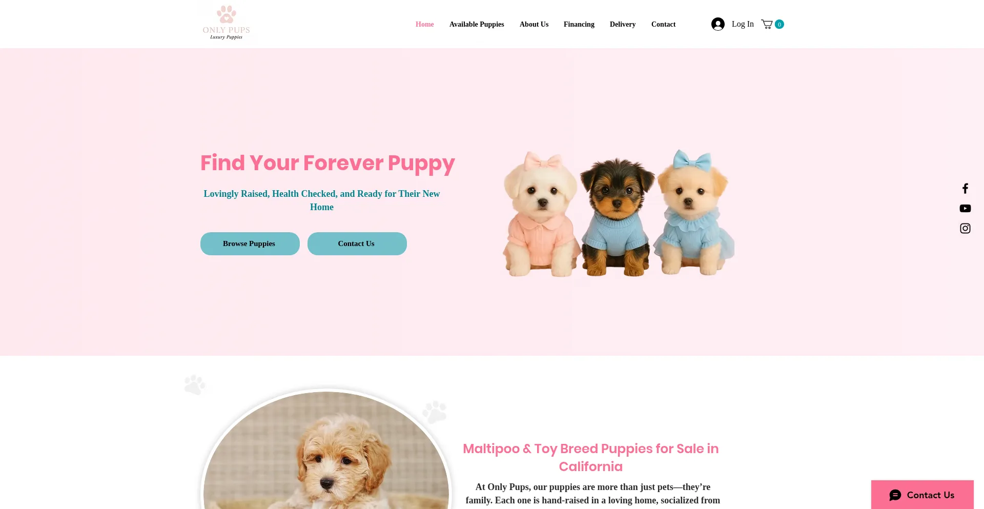 Website screenshot of Onlypuppys.com