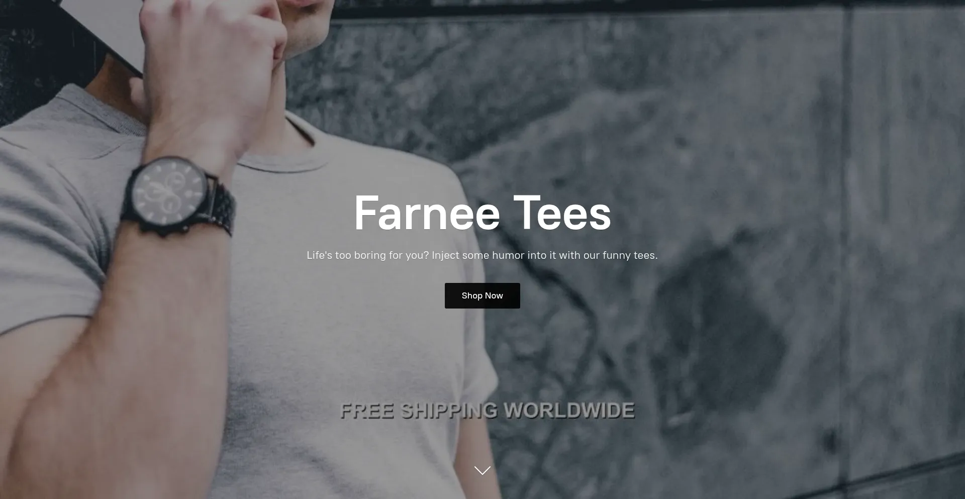 Website screenshot of Onschuhen.shop