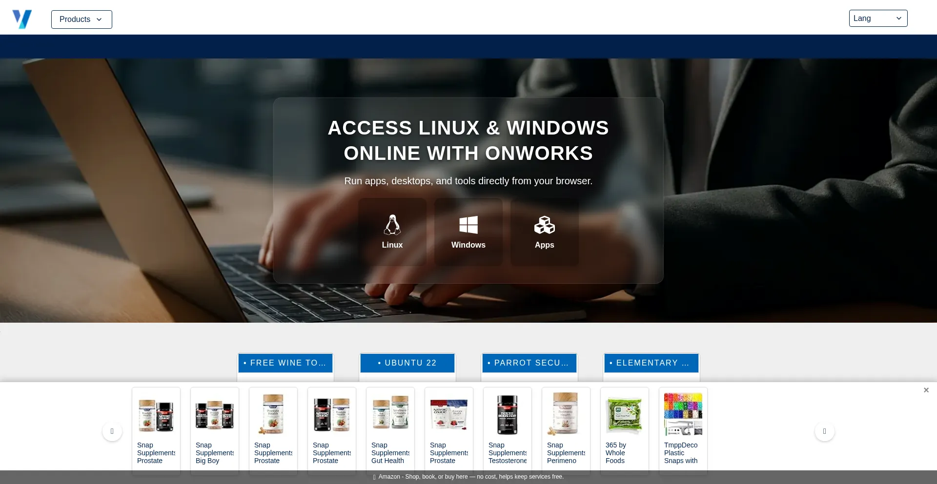 Onworks.net