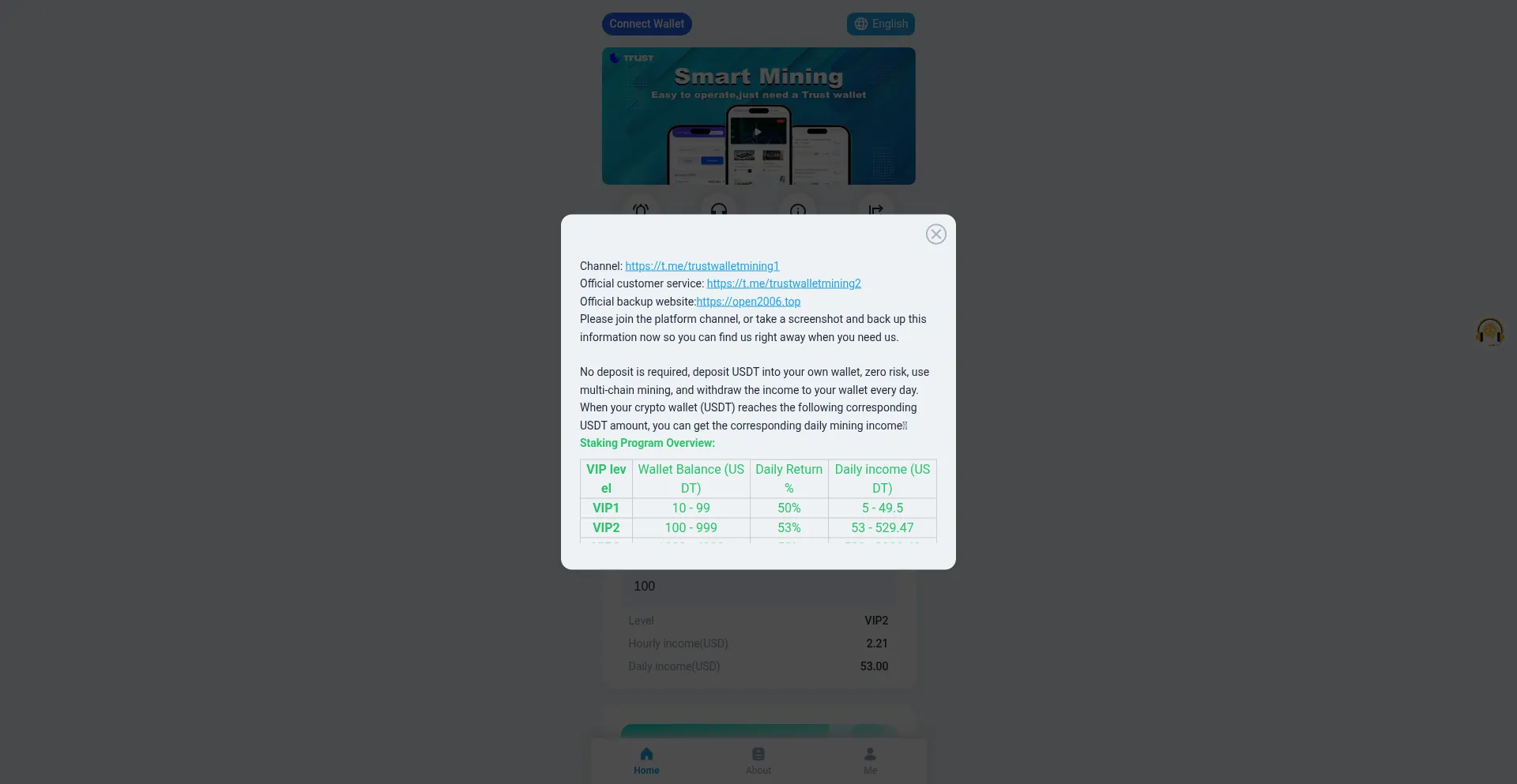 Website screenshot of Opentt2025.com