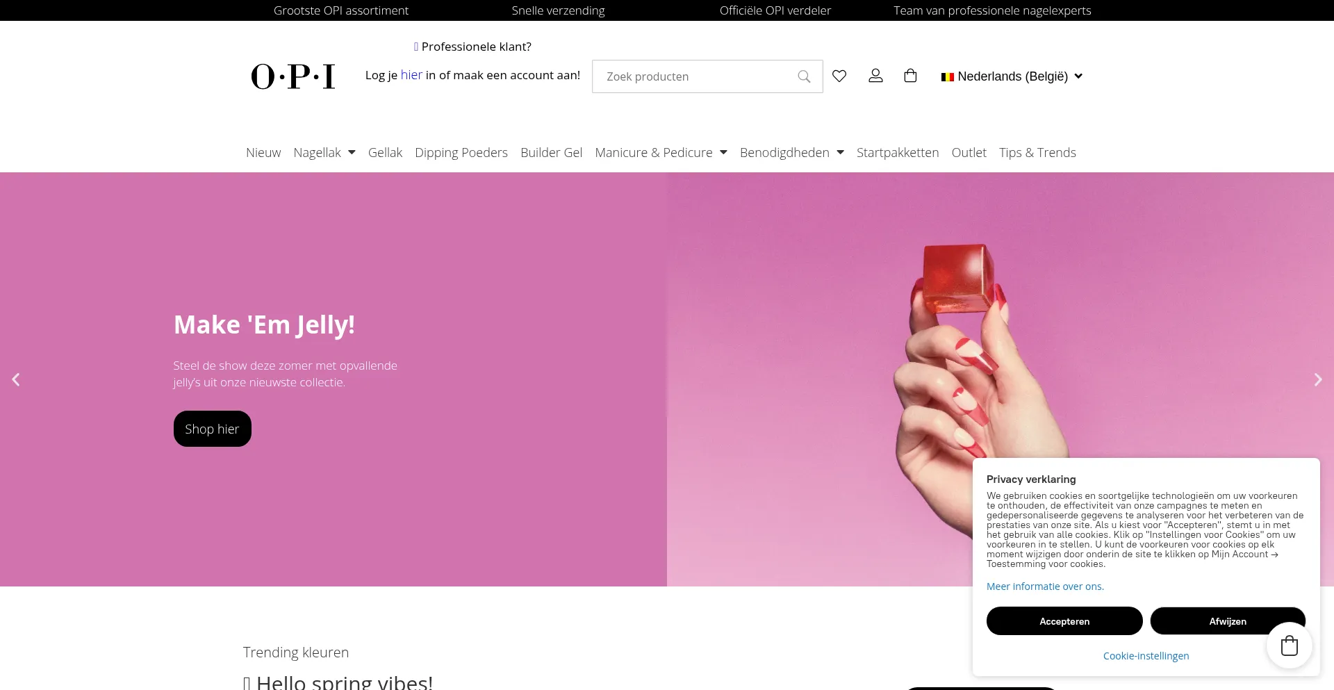 Website screenshot of Opi-shop.be