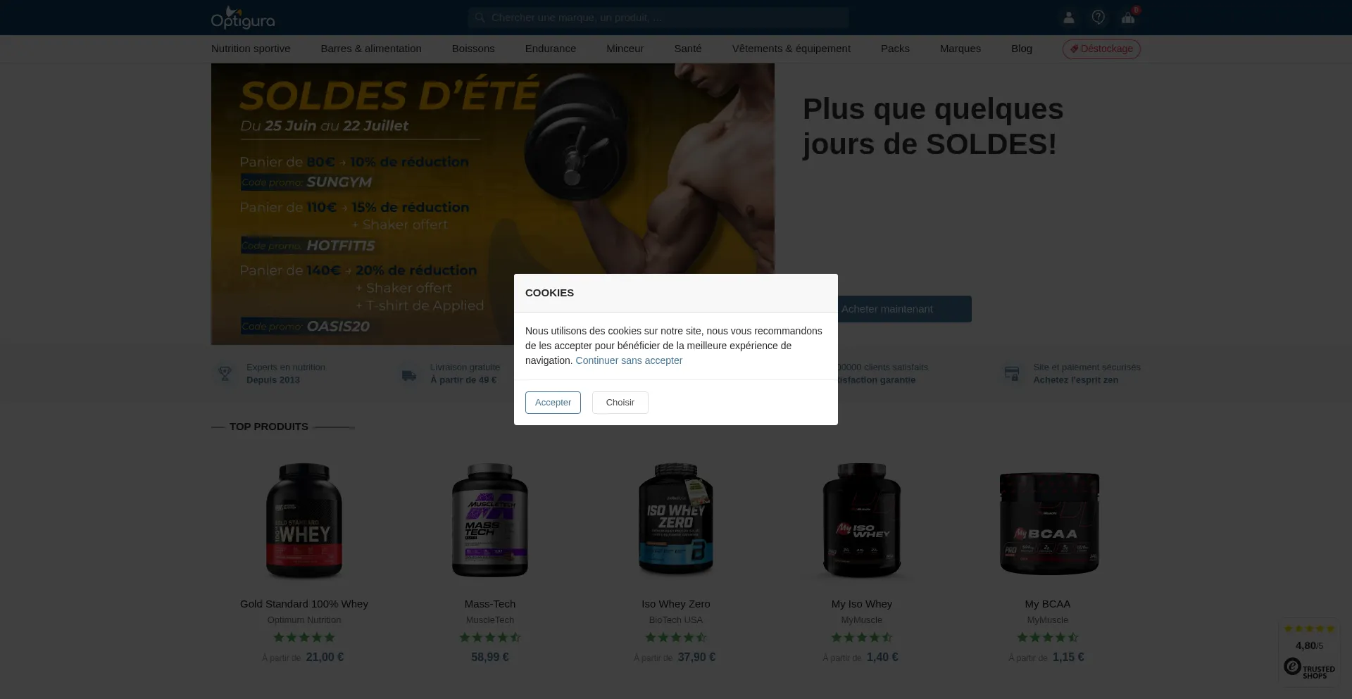 Website screenshot of Optigura.fr