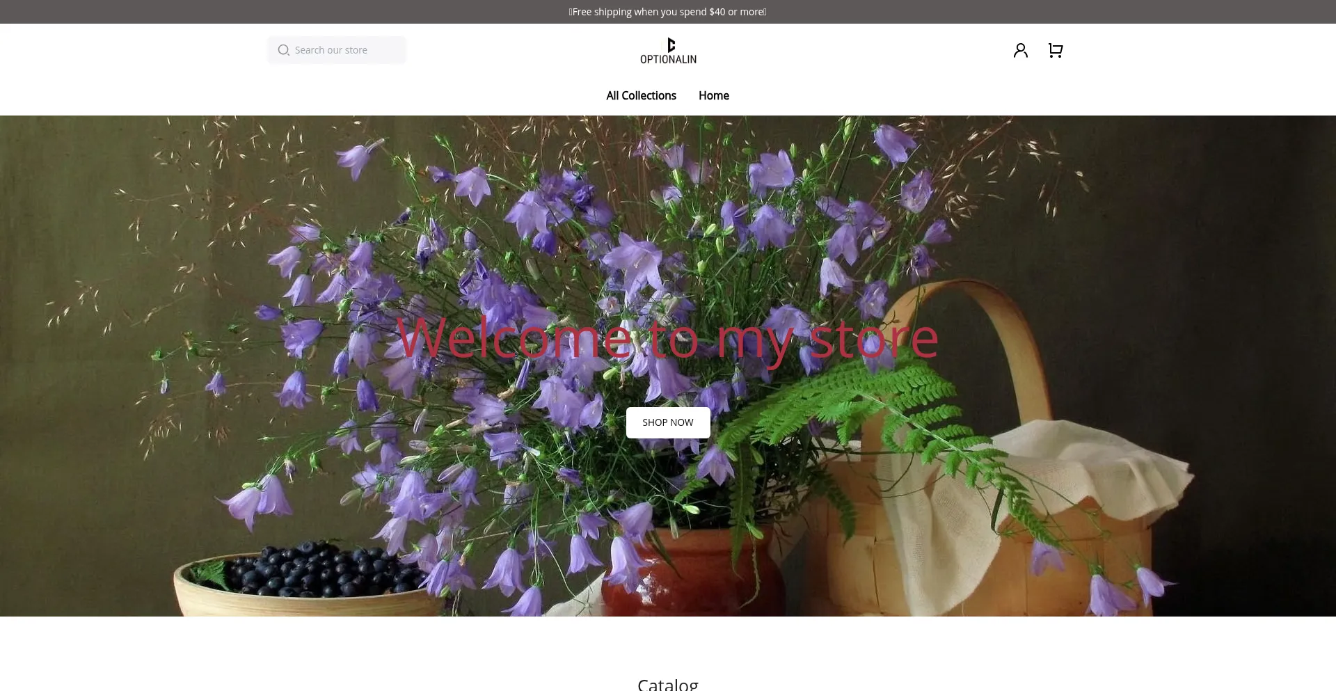 Website screenshot of Optionalin.com