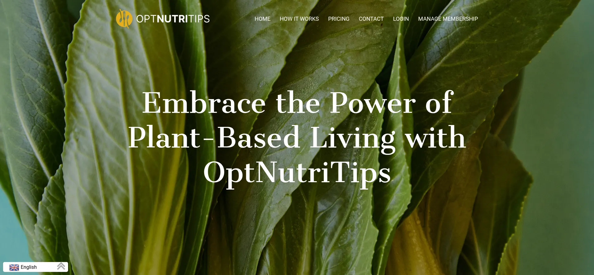 Website screenshot of Optnutritips.com