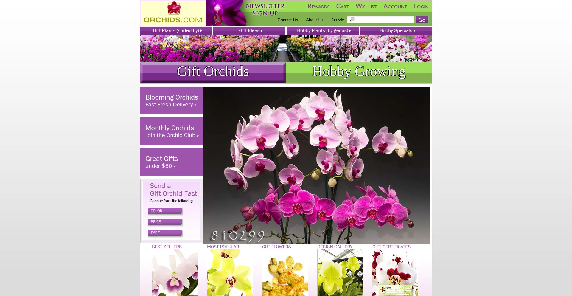 Orchids.com