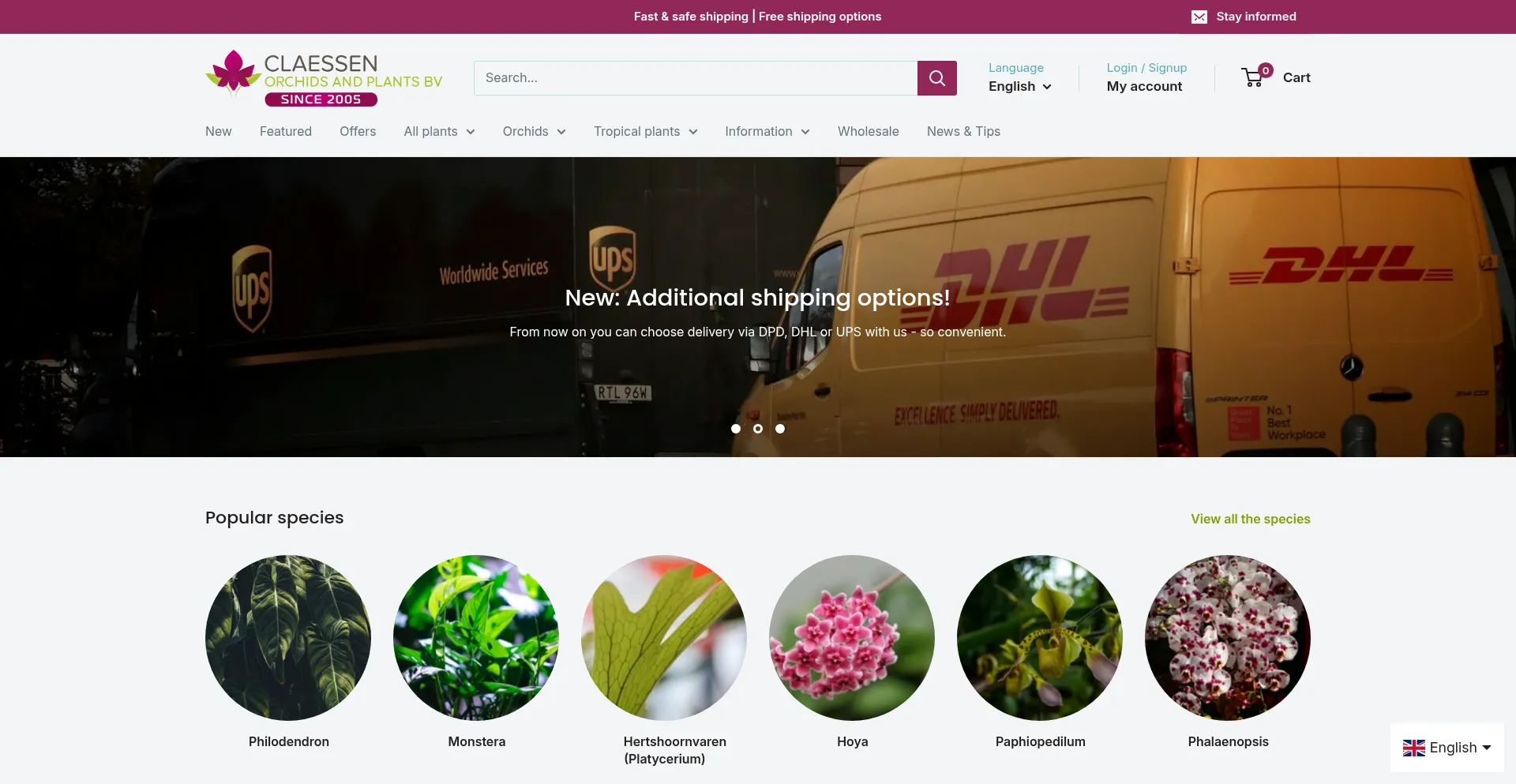 Orchids-shop.com