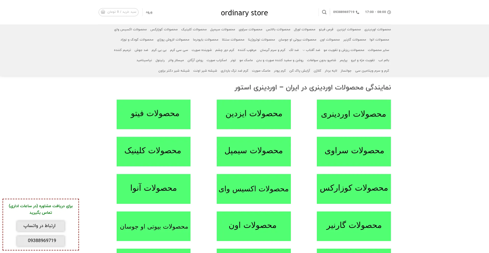 Website screenshot of Ordinary-store.ir