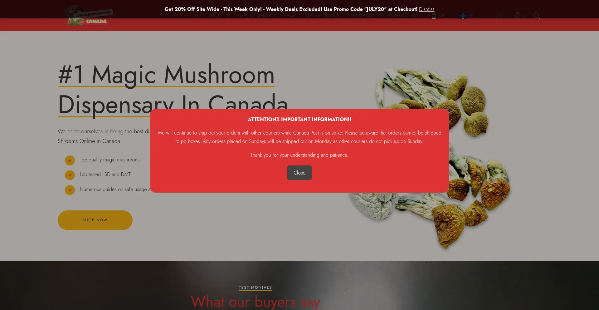 Website screenshot of Organicshroomcanada.co