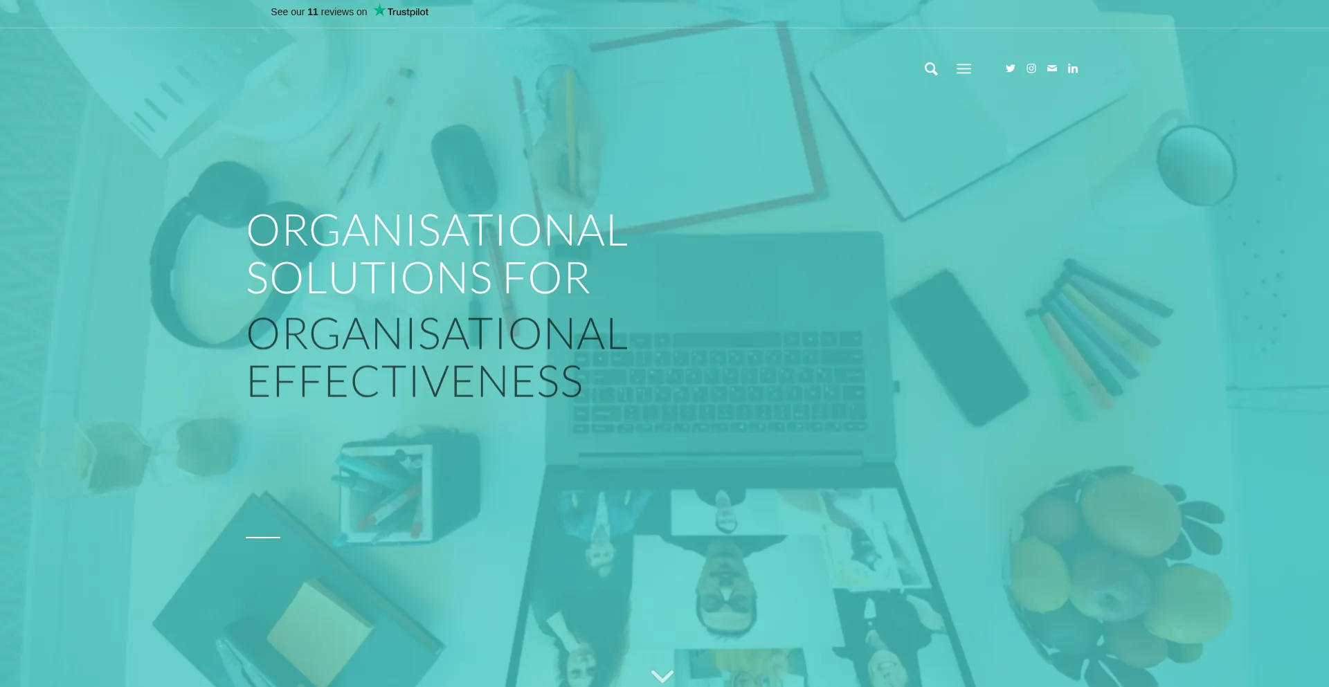 Website screenshot of Organisational.solutions