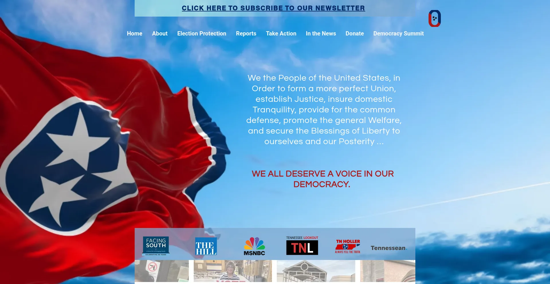 Website screenshot of Organizetennessee.org