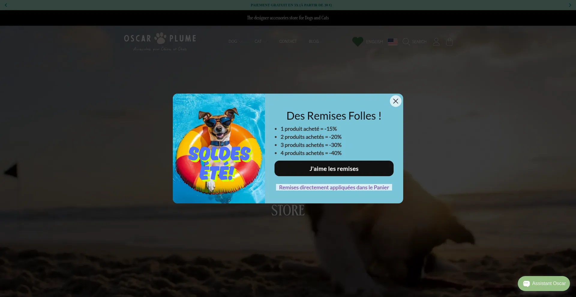 Website screenshot of Oscaretplume.com