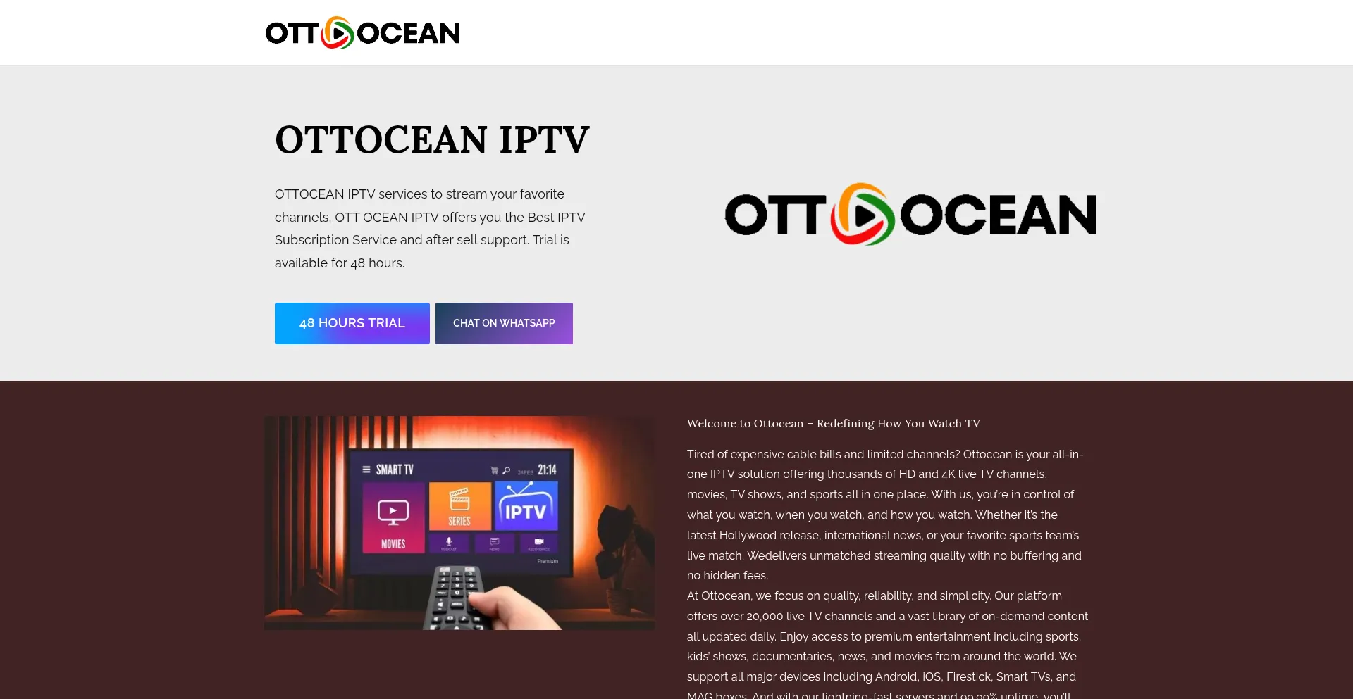 Website screenshot of Ott-ocean.net