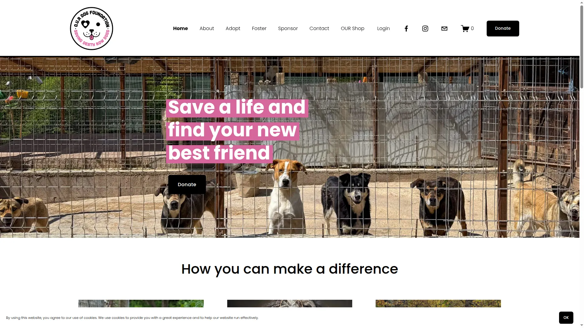 Ourdogfoundation.org