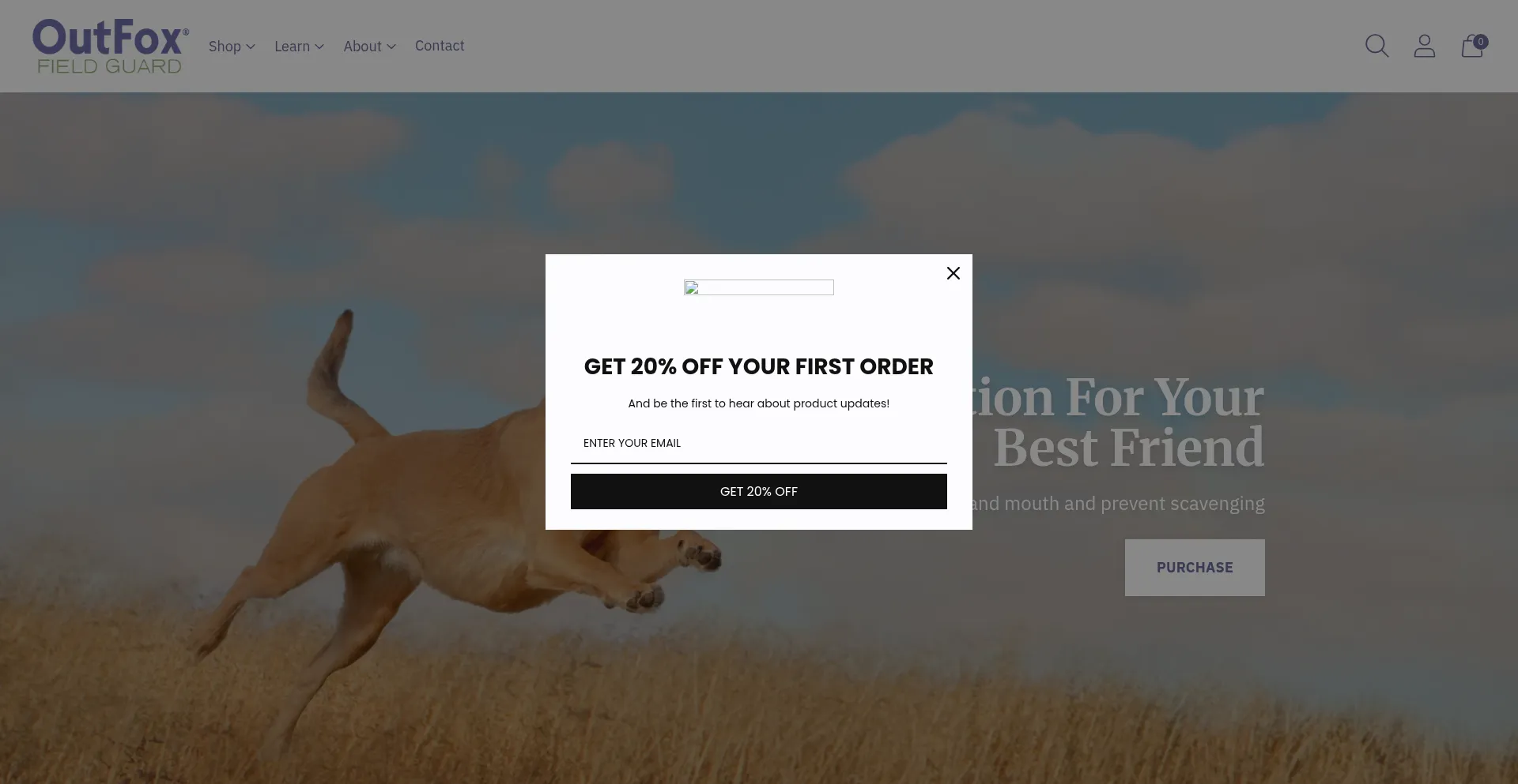 Outfoxfordogs.com