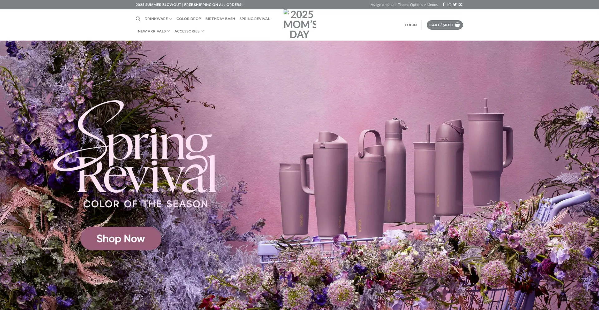 Website screenshot of Owolaonline.com